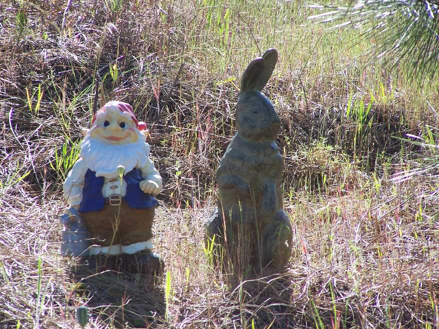 gnome and bunny